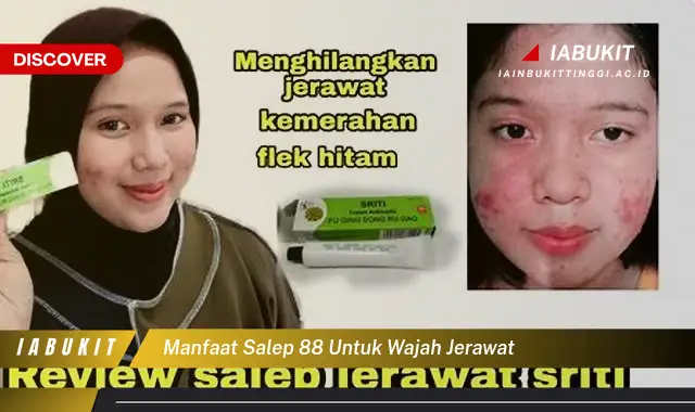 manfaat salep 88 untuk wajah jerawat