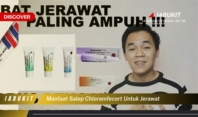 manfaat salep chloramfecort untuk jerawat