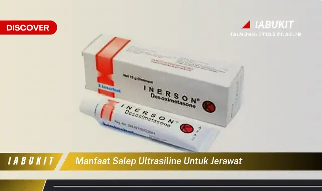 manfaat salep ultrasiline untuk jerawat