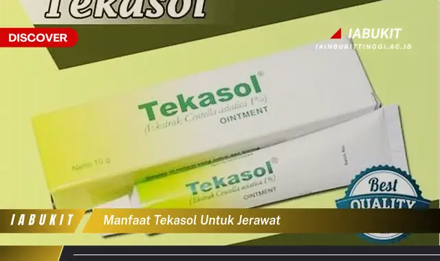 manfaat tekasol untuk jerawat