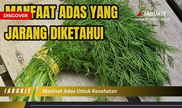 manfaat adas untuk kesehatan