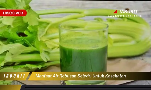 manfaat air rebusan seledri untuk kesehatan