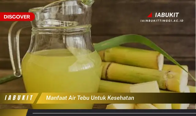 manfaat air tebu untuk kesehatan