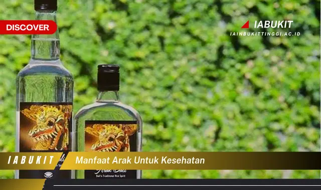 manfaat arak untuk kesehatan manfaat arak untuk kesehatan