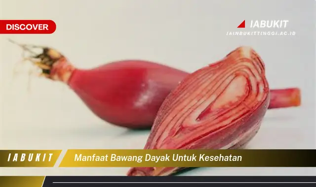 manfaat bawang dayak untuk kesehatan