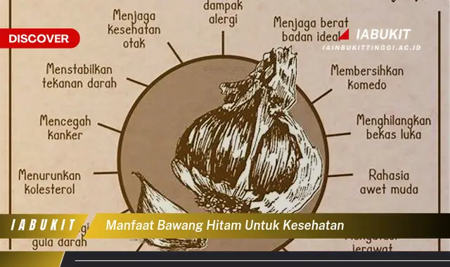 manfaat bawang hitam untuk kesehatan