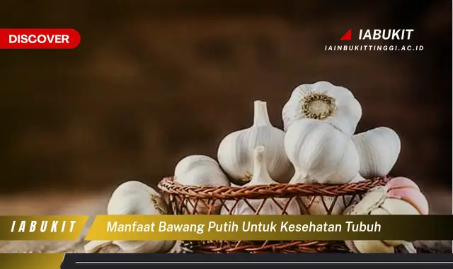 Kamu Wajib Tahu, Inilah 7 Manfaat Bawang Putih untuk Kesehatan yang Jarang Diketahui