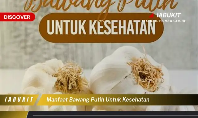 manfaat bawang putih untuk kesehatan