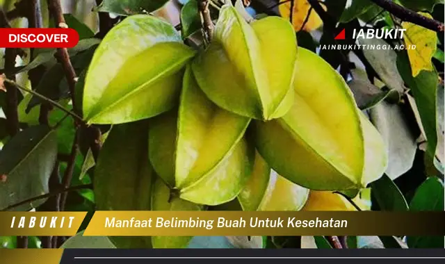 Temukan Manfaat Belimbing Buah Jarang Diketahui Harus Kamu Intip