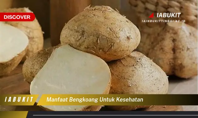 Ketahui 7 Manfaat Bengkoang untuk Kesehatan yang Jarang Diketahui, Bikin Kamu Penasaran!