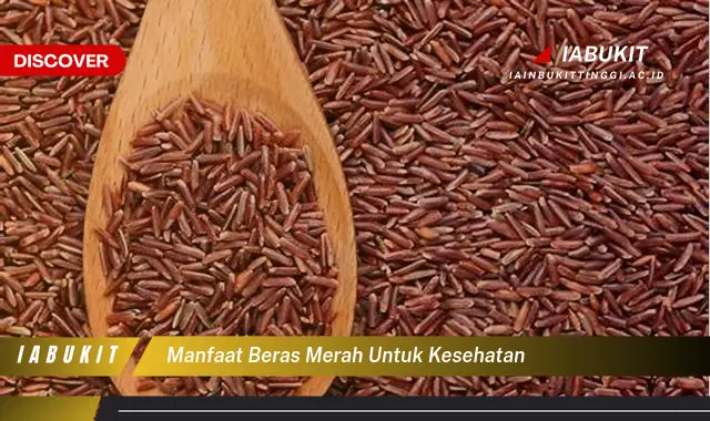 10 Manfaat Air Kelapa Merah Yang Jarang Diketahui - IABUKIT