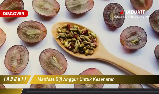 manfaat biji anggur untuk kesehatan