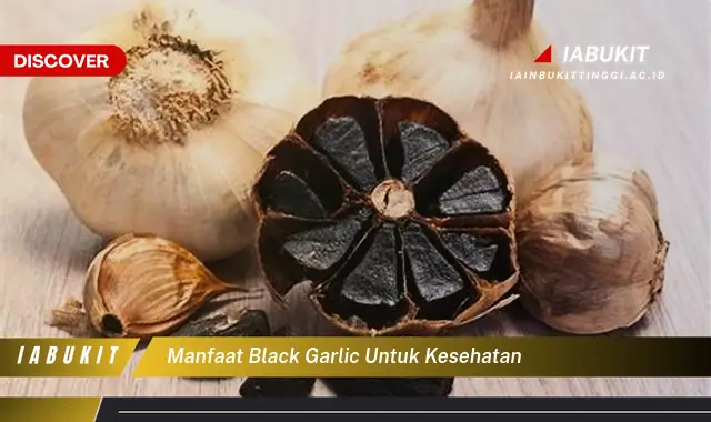 manfaat black garlic untuk kesehatan