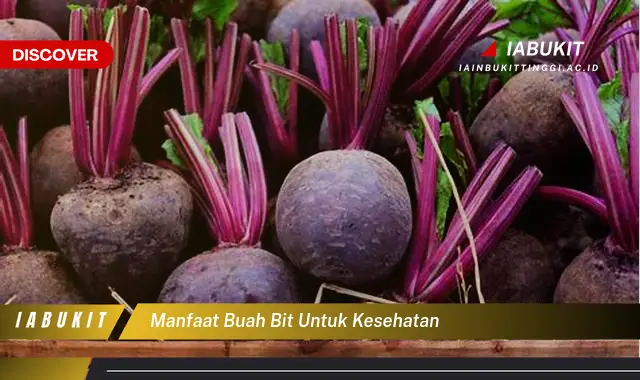 manfaat buah bit untuk kesehatan