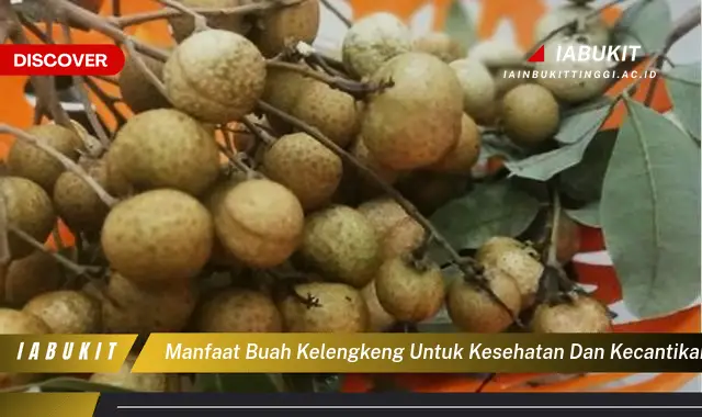 manfaat buah kelengkeng untuk kesehatan dan kecantikan