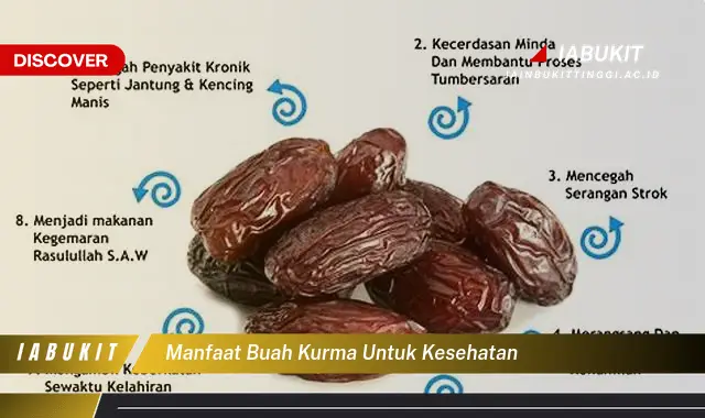 manfaat buah kurma untuk kesehatan