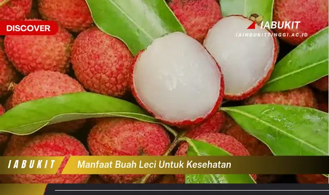 manfaat buah leci untuk kesehatan