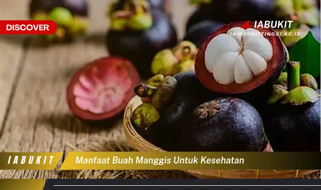 manfaat buah manggis untuk kesehatan