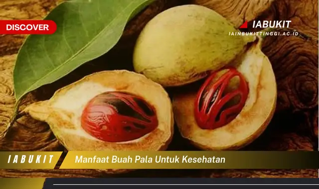 Temukan 7 Manfaat Buah Pala untuk Kesehatan yang Wajib Kamu Intip ...