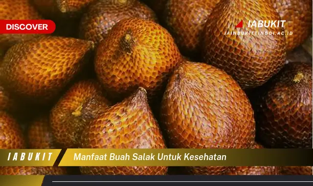 manfaat buah salak untuk kesehatan