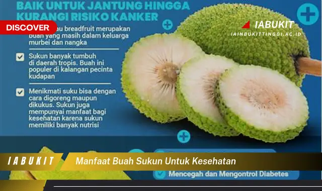 manfaat buah sukun untuk kesehatan