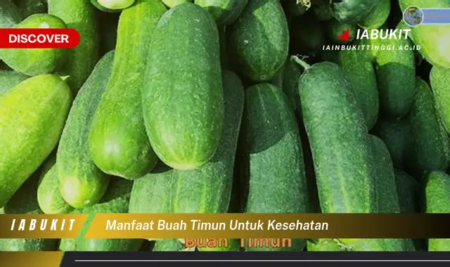 manfaat buah timun untuk kesehatan