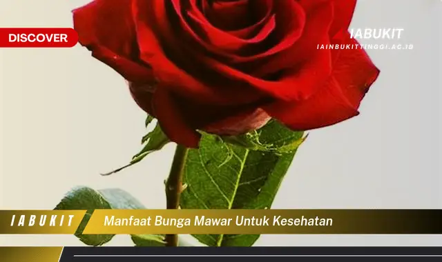 Ketahui Manfaat Bunga Mawar untuk Kesehatan yang Jarang Diketahui, Kamu ...