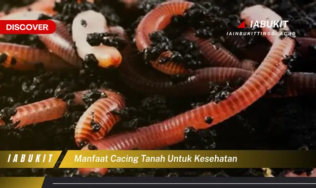 manfaat cacing tanah untuk kesehatan
