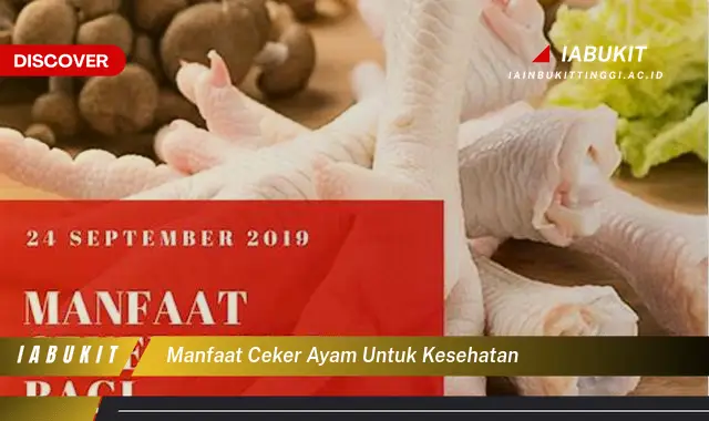 manfaat ceker ayam untuk kesehatan