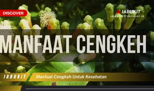 manfaat cengkeh untuk kesehatan