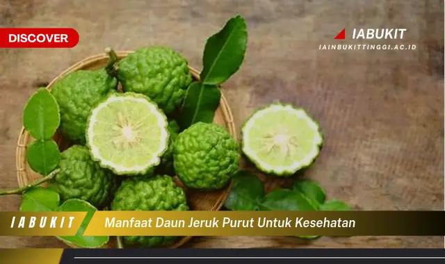 manfaat daun jeruk purut untuk kesehatan