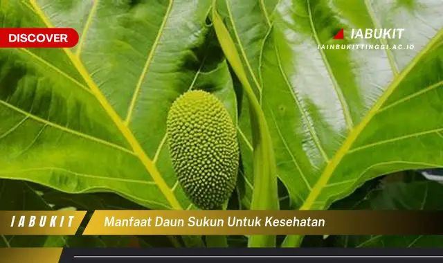 manfaat daun sukun untuk kesehatan