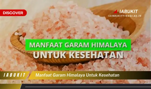 manfaat garam himalaya untuk kesehatan