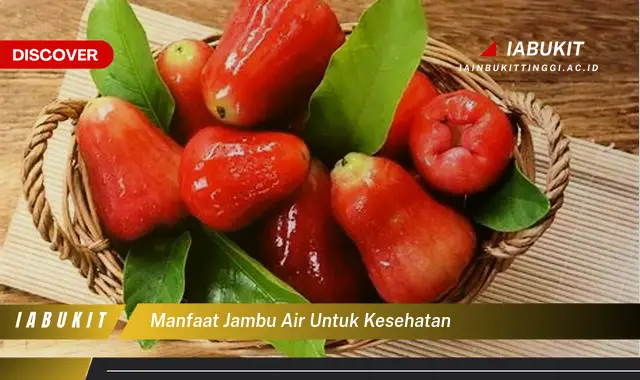 manfaat jambu air untuk kesehatan