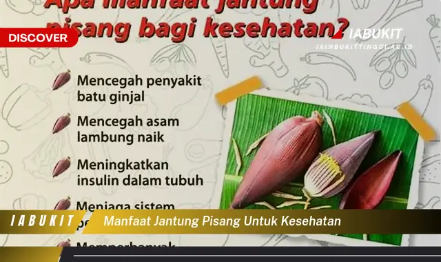 manfaat jantung pisang untuk kesehatan