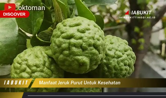 Intip 7 Manfaat Jeruk Purut untuk Kesehatan yang Wajib Kamu Intip ...