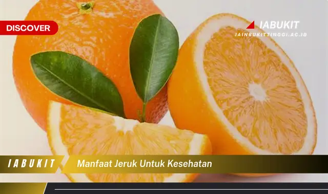 manfaat jeruk untuk kesehatan