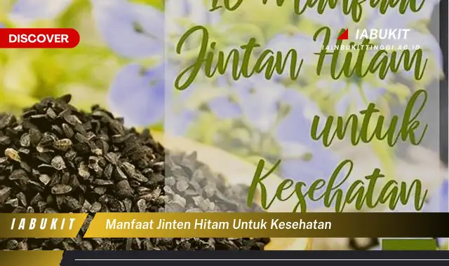 Ketahui 7 Manfaat Jinten Hitam Untuk Kesehatan, Bikin Kamu Penasaran!