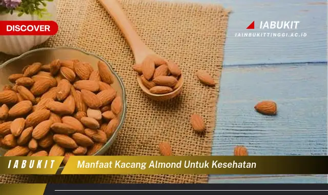 manfaat kacang almond untuk kesehatan