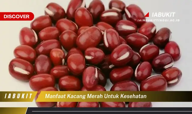 Temukan 7 Manfaat Kacang Merah untuk Kesehatan, Bikin Kamu Penasaran