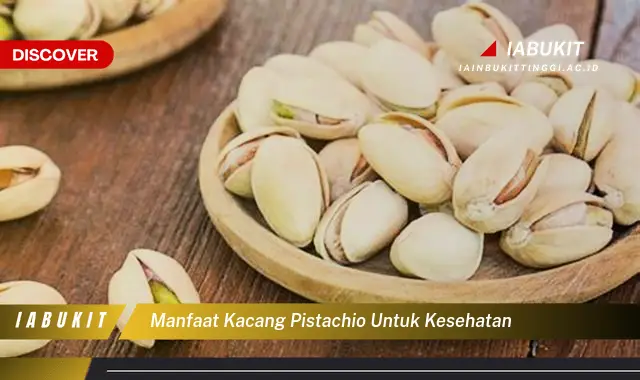 manfaat kacang pistachio untuk kesehatan manfaat kacang pistachio untuk kesehatan