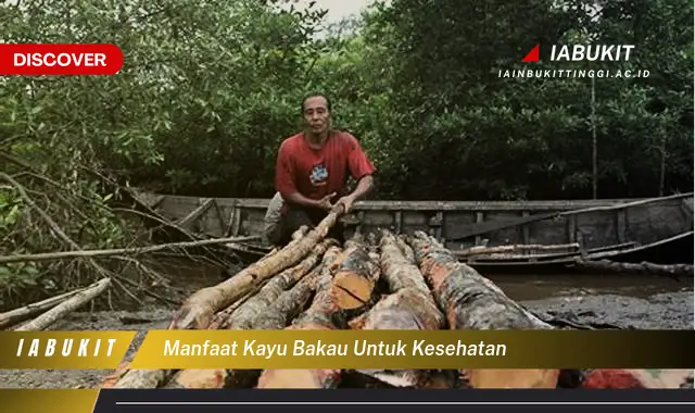 manfaat kayu bakau untuk kesehatan