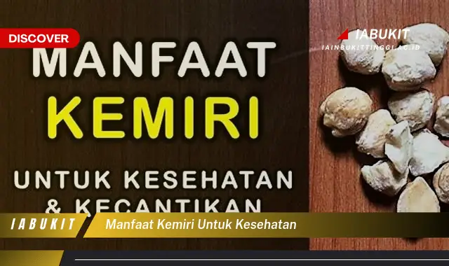 manfaat kemiri untuk kesehatan