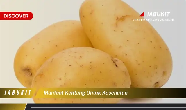 manfaat kentang untuk kesehatan