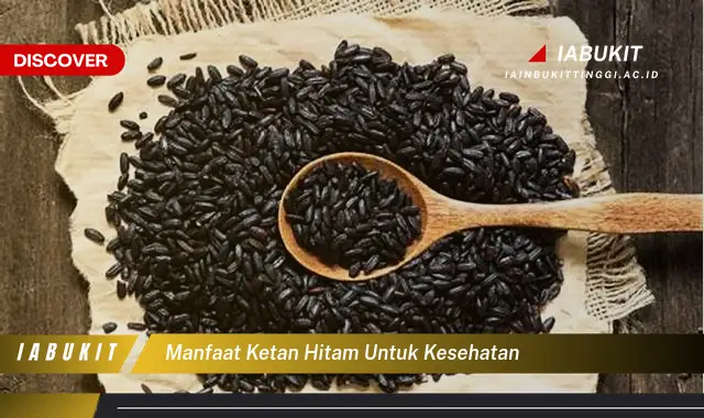 manfaat ketan hitam untuk kesehatan