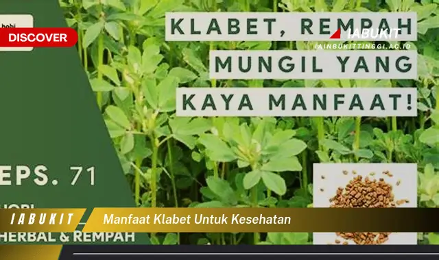 manfaat klabet untuk kesehatan