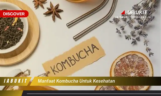 manfaat kombucha untuk kesehatan