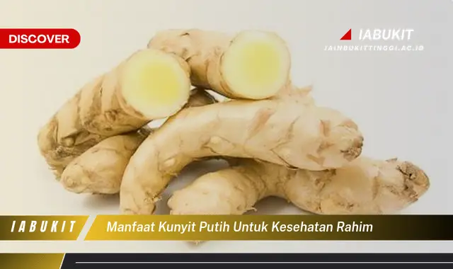 manfaat kunyit putih untuk kesehatan rahim