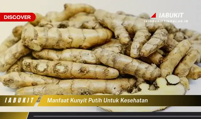 manfaat kunyit putih untuk kesehatan