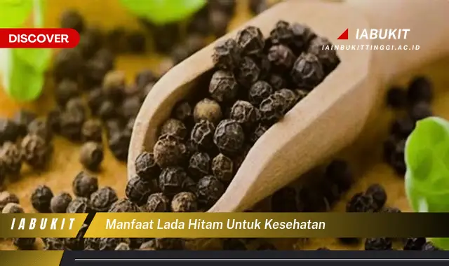 manfaat lada hitam untuk kesehatan